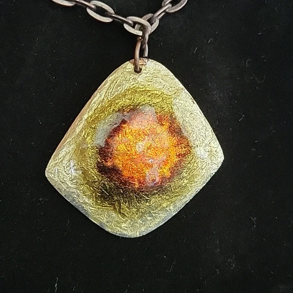 Shell looking - Picture 2 of 5
